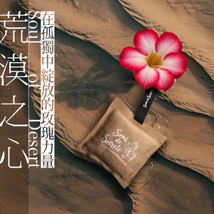 Soul of Desert | Energy Fragrance from Natural | Air Fresheners