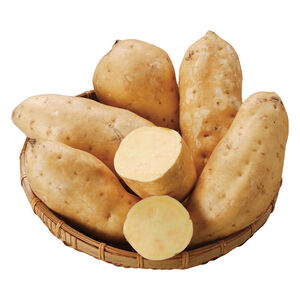 CQL yellow sweet potatoes