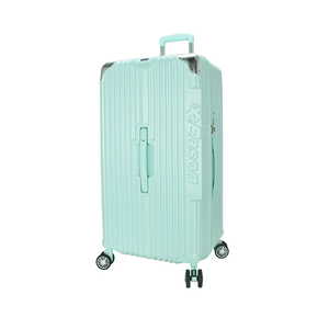 29 Suitcase
