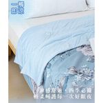 【日本旭川】夏日好眠 涼感 降溫 超導冰感石墨烯能量 好眠涼涼被, , large