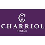 CHARRIOL 夏利豪 FOREVER 鋼索耳環 送禮推薦 03-02-1139-0, , large