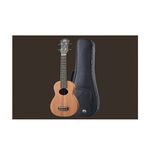 instrument, , large