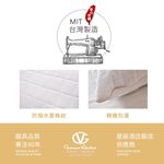 【吉梵尼 范侖鐵諾】台灣製造 石墨烯遠紅外線健康枕 石墨烯枕2入, , large