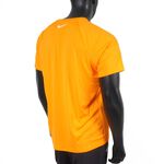 NESSC690-724, , large