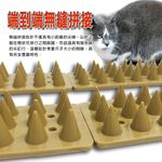 金德恩 GS MALL 台灣製造 一組4入 長條錐形刺板 防野貓 防野狗 野鳥 步道 49x4cm 防爬 釘板 錐形 刺板, , large