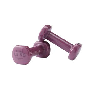 迪卡儂1.5kg啞鈴組2入