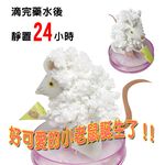GS MALL 台灣製造 魔法成長錢鼠 魔法開花鼠 成長鼠 錢鼠 神奇錢鼠 紙花 開花鼠 裝飾樹 開花樹, , large