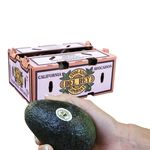 進口酪梨#48, , large