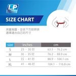 [秉宸] LP SUPPORT 鎖骨固定帶 駝背 姿勢不良 矯正帶 單入裝 901, , large