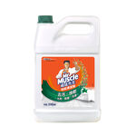 Mr Muscle Floor, , large