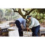 [皇廷] Competition level longan honey 3000g（CERTIFIED DOCUMENT . TAP）, , large