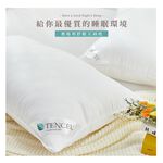 DUYAN竹漾 奧地利舒眠天絲枕 台灣製, , large