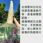 【筍友部落】熟脆筍片(全素) 600g 雲林古坑在地麻竹筍 常溫 無防腐劑 無漂白 筍片 煮湯 拌沙拉 清炒筍片, , large
