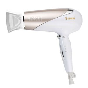 Ta Shin TS-601 Hair Dryer