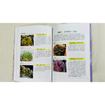 《南門書局》多肉植物系列2本, , large