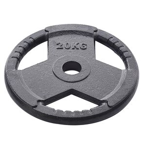【德旺健身器材】 20KG 奧林匹克專用槓片(一組兩入)