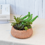 【YU Living】人造多肉植物陶瓷盆栽 仿真植物盆栽 4吋, , large