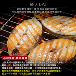 Fresh-Frozen Boneless Mackerel Pike Steak (No Belly Cavity), , large