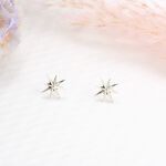 【Angel & Me】希望之星 星星 Star 一對 s925 純銀 耳環 耳夾, , large