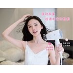 TASHIN Wall-Mounted Hair Dryer (Button Switch) TS-1899P, , large