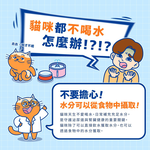 【拉拉寵物小舖】PAW PAW LAND 肉球世界 補水炸彈 主食餐包 貓餐包 雞鮪 X 褐藻45g  主食餐包, , large