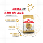 Royal Canin Poodle Puppy PDP, , large