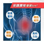 【現貨】石墨烯機能可調式護腰  透氣排汗 工作護腰/護腰帶/護膝/護肘/護踝/腿套/護腕/護腰/登山護具/運動護具, , large