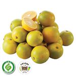 台灣石虎履歷柳丁600克/袋, , large