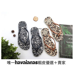 [巴拉娜巴西人字拖專賣店]中壢實體店面 Havaianas SLIM ANIMALS 2022沙灘 海灘 海邊夾腳拖/人字拖鞋 米色/灰色 巴拉娜