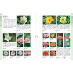 《南門書局》花百科 一巨冊~花卉.觀葉植物.多肉植物.觀果植物, , large