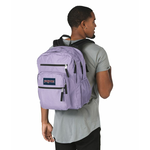 [秉宸] JANSPORT BIG STUDENT 後背包 JS0A47JK, , large