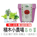 【心安購物】iPlant積木盆栽-百日草, , large