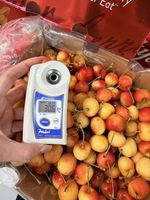 [芯鮮果]智利( SkylarRae焦糖草莓白櫻桃 ), , large