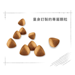 Royal Canin Ragdoll Adult Cat Food RD32, , large