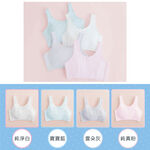 可蘭霓Clany 無痕無鋼圈少女S-Q/2XL 學生內衣 成長型 涼感 背心 6988-31 粉 胸衣 學生 背心 透氣, , large