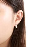 【Angel & Me】天使 夢想 翅膀 Wing s925 純銀 厚鍍 18k 玫瑰金 一對 耳環 耳夾 生日 禮物, , large