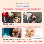 ［營活著］＜全面升級版＞ - 腎臟＋泌尿道全效【多國專利】（黑酵母強化配方）, , large