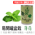 【心安購物】iPlant易開罐盆栽-薄荷, , large