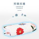 【日本旭川】生命磁MIT石墨烯四季被/空調被(多款可選) 涼被 台灣製 石墨烯被, , large