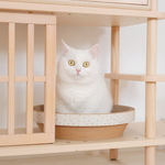 【paipaipets】Cardboard cat scratcher bowl, , large