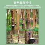 【Arnold Palmer雨傘牌】台製雙人加大6尺5cm 防蟎抗菌 天然乳膠床墊, , large