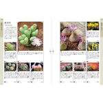 《南門書局》花百科 一巨冊~花卉.觀葉植物.多肉植物.觀果植物, , large
