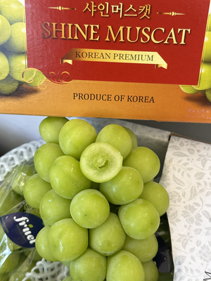  Korean Shine Muscat