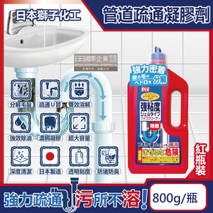 Lion Chemical Pix Drain Cleaner 800g