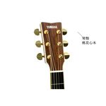instrument, , large