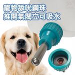 金德恩 GS MALL 美國製造 LIXIT 上掀蓋式45度鋼管飲水瓶 480cc 寵物飲水瓶 飲水瓶 餵食器 飲水器 寵物用品, , large