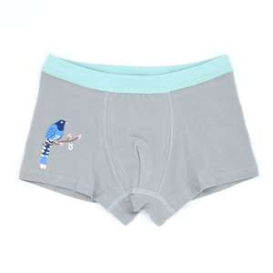 minihope Boys underwear