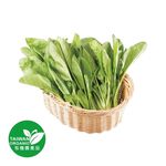 有機山菠菜300g/袋, , large