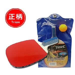 Success成功 44101 正手柄五夾反膠桌球拍(練習級)