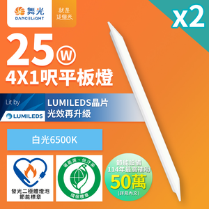 DanceLight舞光 2入組 節能環保雙認證 LED柔光平板燈 4呎X1呎 25W 輕鋼架面板燈(白光D-41PD25D-EGR1)